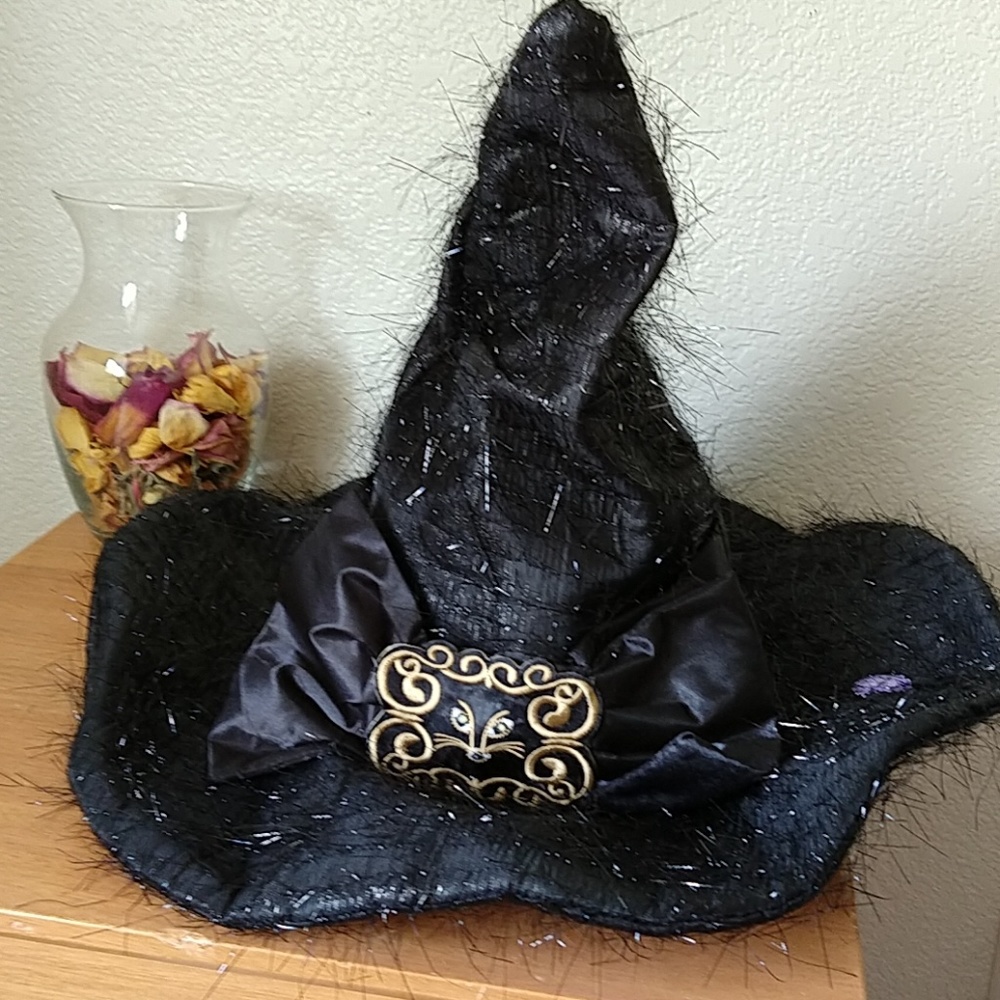 Dancing, Singing, Lights up Witch hat Halloween